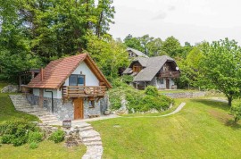 Casa vacanze nei vigneti, Slovenia, Slovenia