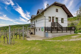 Vineyard Homestead Vrtin, Slovenia, Slovenia