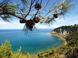 Salinera, Slovenia, Strunjan, Piran