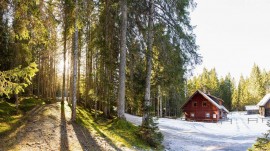 Digital Detox Chalet Pokljuka, Slovenia, Parco nazionale del Tricorno