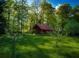 Silent Orchard, Slovenia, Slovenia