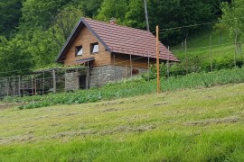 The Cabin At St. Donat's