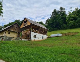 Apartment Pajek on the Hayrack