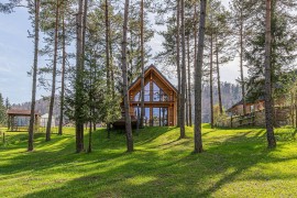 Forest Princess Chalet, Slovenia, Slovenia