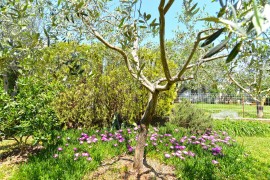 Appartamento vacanze per 4 persone con terrazza, Croatia, Medolino, Pula-Medulin