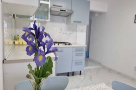 Palaziol Appartamento con 1 Camera da Letto con Balcone 0, Croatia, Rovigno, Rovigno e dintorni