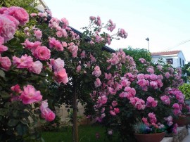 Appartamento con balcone e aria condizionata