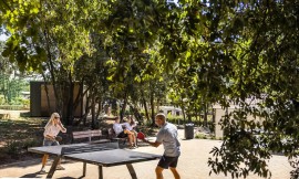Mobil Home Forest Fuga 3 Camere 2 adulti + 3 bambini, Croatia, Rovigno, Rovigno e dintorni