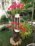 Appartamento vacanza per 3 Persone + 2 Bambini ca. 94 qm in Rovigno, Istria (Istrische Riviera), Croatia, Rovigno, Rovigno e dintorni