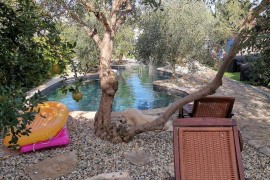 Vacation apartment with private pool, Croatia, Cuclizza, Ugliano