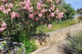 Casa indipendente con giardino privato e barbecue - animali ammessi,, Croatia, Sutomiscica, Ugliano