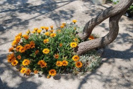 Casa indipendente con giardino privato e barbecue - animali ammessi,, Croatia, Sutomiscica, Ugliano