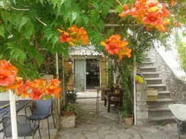 Ferienhaus in Zlarin mit Schönem Garten