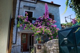 Raffinato dalla natura, Villa Marino Trogir, Croatia, Traù, Ciovo