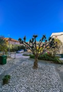 Apartment Čićko, Croatia, Traù, Ciovo