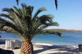 **** Villa di lusso, Trogir - Ciovo, direttamente sul mare con piscina per 12 persone (+ 2 bambini), Croatia, Traù, Ciovo