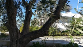 Rifugio sulla spiaggia con aria condizionata e terrazza