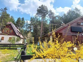 5 Bedroom secluded Mountain Lodge surrounded by Pine Forest