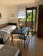 Guesthouse Family Bosnic - Suite Room with Balcony and kitchenette