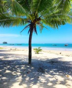 Piscina a sfioro con 1 camera da letto a parte a piedi dalla bellissima spiaggia di Naiyang, Thailand, Provincia di Phuket