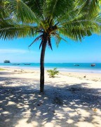 Piscina a sfioro costiera con 1 letto a piedi da Great Beach, Thailand, Provincia di Phuket