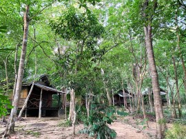 Foresta Cottage di Koh Pu no6196, Provincia di Krabi