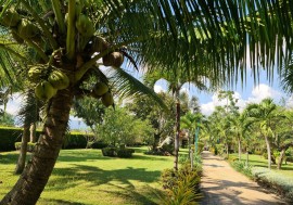 Bellissimo bungalow con piscina all'aperto in comune e a 2 km dalla spiaggia sabbiosa, Cha Am, Provincia di Phetchaburi