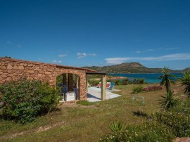 Flamingo, Italia, Costa Corallina, Olbia-Tempio