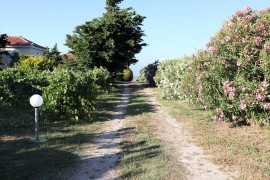 Casa vacanza per 4 persone con giardino, Greece, Messenia