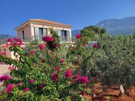 Appartamento vacanze per 5 persone con terrazza, Greece, Karavados, Cefalonia