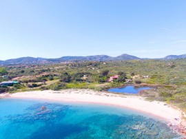 Flamingo, Italia, Costa Corallina, Olbia-Tempio