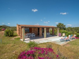 Flamingo, Italia, Costa Corallina, Olbia-Tempio