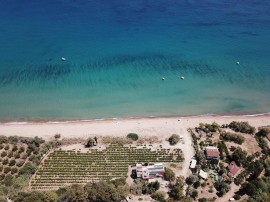 Appartamento vacanze per 3 persone con giardino, Greece, Messenia