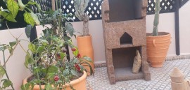 Casa vacanza per 5 persone con terrazza, Morocco, Taghazout, Souss-Massa-Drâa region
