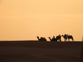 Tenda di lusso nel deserto Merzouga !, Morocco, Taouz, Meknès-Tafilalet region