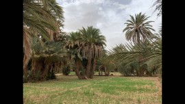 Pensione di charme privatizzata con piscina per 10 persone, Morocco, Meknès-Tafilalet region