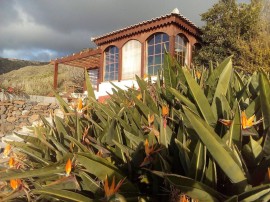 Appartamento Golf Terrace a 1,5 km dalla spiaggia, Portugal, Fajã da Ovelha, Madeira