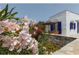 Appartamento in hotel 'Sun Rock Boutique - Villa Menexes' con vista mare, Wi-Fi e aria condizionata, Turkey, Agios Prokopios, Cicladi