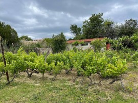 Villa per 2 Persone + 1 Bambino ca. 50 qm in Chayka, Costa bulgara del Mar Nero (Mar Nero del nord), Bulgaria, Varna (Bulgaria), Distretto di Varna