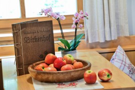 Appartamento 'Birkenhof - Wohnung Bichel' con Wi-Fi e balcone, Sluderno, Saldurkamm