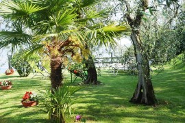 Appartamenti Casa Tamas, Limone-prec. Tui, Tremosine, Prealpi Gardesane