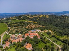 Ciliegiolo, Cinigiano, Provincia di Grosseto