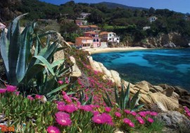 Oyster Beach, Scaglieri, Parco Nazionale Arcipelago Toscano