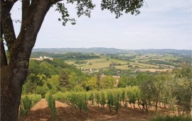 Accogliente appartamento con parcheggio, giardino e internet - Poggibonsi, Colle di Val d'Elsa, Siena e dintorni