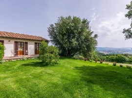 Ciliegiolo, Cinigiano, Provincia di Grosseto