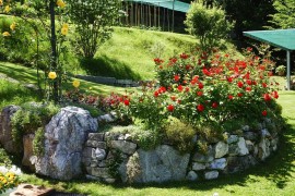 Appartamenti Casa Tamas, Limone-prec. Tui, Tremosine, Prealpi Gardesane