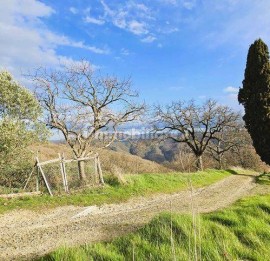 Vendita Rustico in Pressi Molin Novo Arezzo. Da ristrutturare, posto auto, 200 m², rif. 113415599 Ve