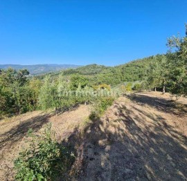 Vendita Rustico in Località Marcena Arezzo. Da ristrutturare, posto auto, 250 m², rif. 113415613 Ven