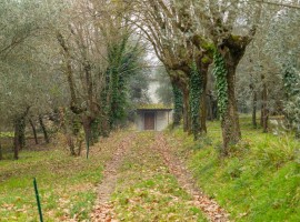 Vendita Casale in via Santa Maria delle Grazie Arezzo. Nuovo, posto auto, 384 m², rif. 111363409 Ven