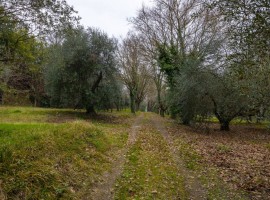 Vendita Casale in via Santa Maria delle Grazie Arezzo. Nuovo, posto auto, 384 m², rif. 111363409 Ven